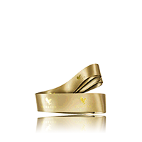 //gallery.foreverliving.com/gallery/FLP/image/2017_New_Products/Holiday_Ribbon_Large.png