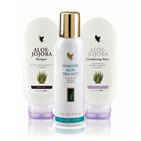 //gallery.foreverliving.com/gallery/GRC/image/Christmas2012/9301_large.gif