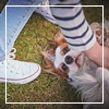 //gallery.foreverliving.com/gallery/GRC/image/newsite_2017/animals_2017_icon.jpg