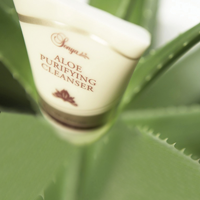 Forever Aloe Purifying Cleanser 277